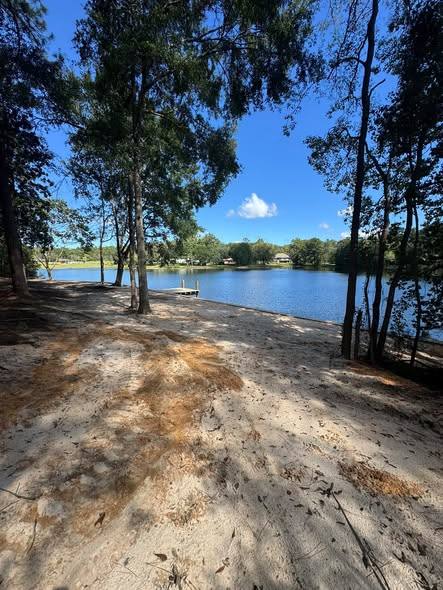 Sandy cleared bank under pines, with the water beyond